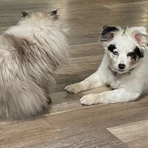 Meet your Posher, Zoe